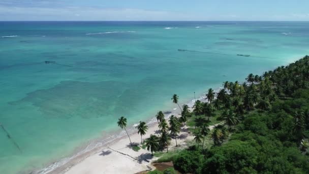 Luftaufnahme Vom Strand Sao Miguel Dos Milagres Alagoas Brasilien Einzigartiges — Stockvideo