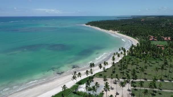 ミゲル Dos Milagres ビーチ アラゴアス州 ブラジルの空撮 Fishs 自然のプールでの水泳のユニークな体験です 素晴らしい休暇旅行 素晴らしいビーチのシーン — ストック動画