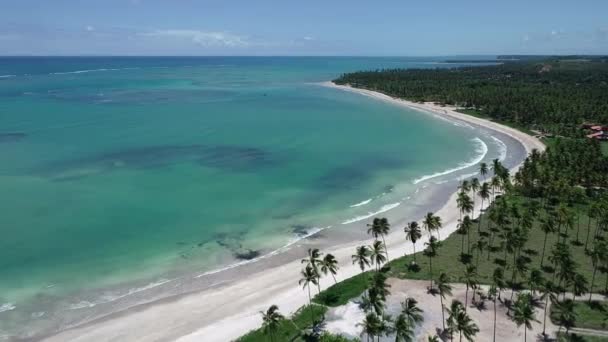 ミゲル Dos Milagres ビーチ アラゴアス州 ブラジルの空撮 Fishs 自然のプールでの水泳のユニークな体験です 素晴らしい休暇旅行 素晴らしいビーチのシーン — ストック動画