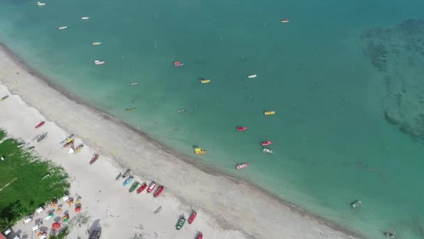 Widok Lotu Ptaka Sao Miguel Dos Milagres Beach Alagoas Brazylia — Wideo stockowe