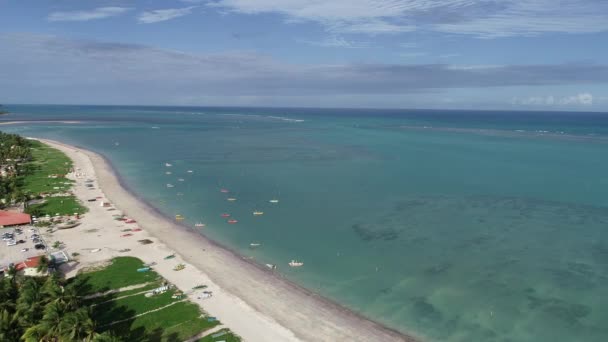 Havadan Görünümü Sao Miguel Dos Milagres Beach Alagoas Brazil Yüzme — Stok video