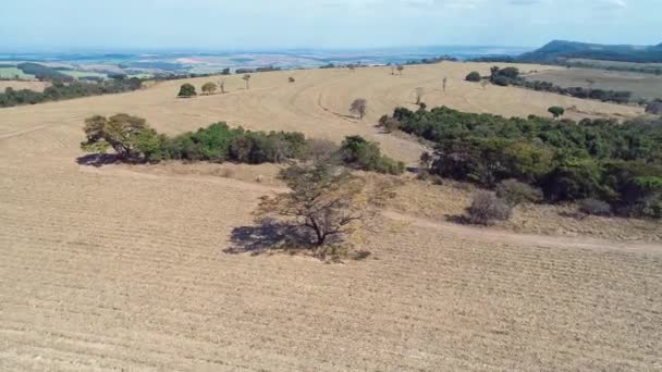 Widok Lotu Ptaka Rolnictwa Obszarów Wiejskich Sceny Beaufiful Krajobraz Widok — Wideo stockowe