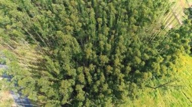 Kırsal road, kırsal sahne, Mococa, Brezilya Hava görünümünü. Tarım sahne. Beaufiful manzara. Harika kırsal görünümü. 