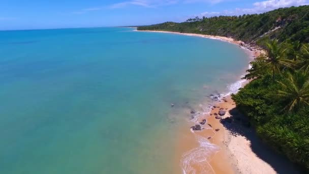 Caraiva Beach Piękna Plaża Krajobraz Brazylii Stanie Bahia Wakacje Podróże — Wideo stockowe