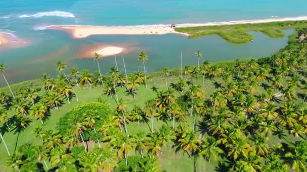 Letecký Pohled Modré Moře Fantastické Krajiny Pohled Pláž Cumuruxatiba Bahia — Stock video