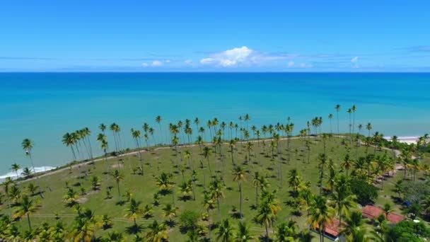Flygfoto Över Cumuruxatiba Beach Bahia State Brasilien Stor Strand Scen — Stockvideo