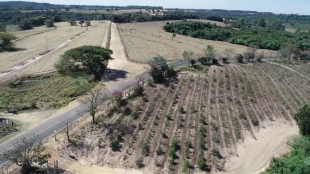 Luchtfoto Van Prachtige Natuur Landbouw Plattelandsontwikkeling Scène Beaufiful Landschap Grote — Stockvideo