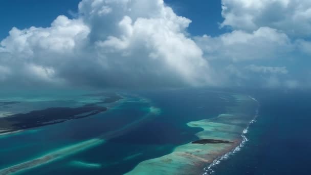 Letecký Pohled Sebastian Fondu Ostrov Los Roques Karibské Moře Venezuela — Stock video