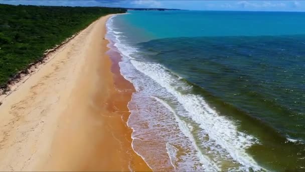 Vista Aérea Playa Caraiva Porto Seguro Estado Bahía Brasil Gran — Vídeos de Stock