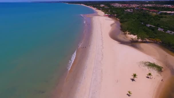 Vista Aérea Barramares Praia Porto Seguro Bahia Brasil Grande Cena — Vídeo de Stock