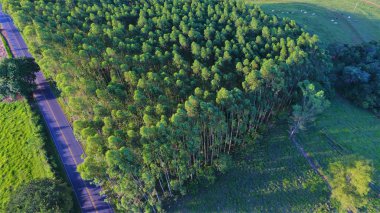 Tarım ve kırsal sahne havadan görünümü. Beaufiful manzara. Harika kırsal manzara. Tarım sahne. Kırsal sahne. Kırsal sahne. Kırsal yol. Çiftlik görünümü.