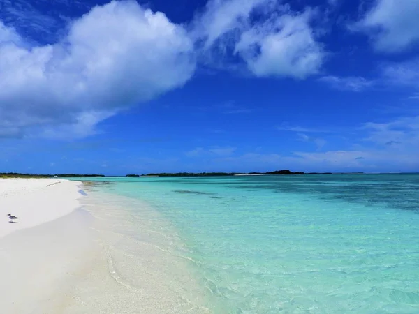 カリブ海 Roques 青い海と無人島の休暇 平和と夢 幻想的な風景 夜のビーチ 静けさ 熱帯旅行 Destinaton を旅行します — ストック写真