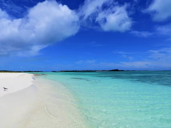 Caribische Zee Los Roques Vakantie Blauwe Zee Verlaten Eilanden Vrede — Stockfoto