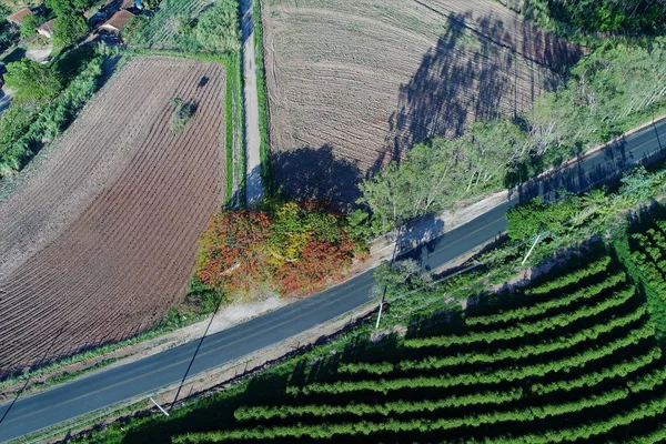 Aerial view of agriculture and rural scene. Beaufiful landscape. Great countryside view. Agriculture scene. Rural scene. Countryside scene. Rural road. Farm view.