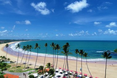 Cupe'nın Beach, Porto de Galinhas, Brezilya: Yüzme ile fishs doğal havuzlarda benzersiz deneyimi. Mükemmel seyahat. Tatil seyahat. Tatil tropikal. Tropikal seyahat. Büyük plaj sahne. Güzel manzara. Sahne seyahat. Tatil sahne.