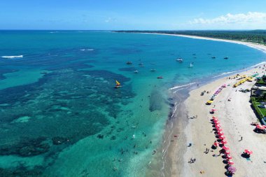 Aerial view of Porto de Galinhas's beach, Pernambuco, Brazil: experience of swimming with fishs in natural pools. Vacation travel. Tropical vacation. Tropical travel. Great beach scenery. Beautiful landscape. Travel scenery. Vacation scenery. clipart