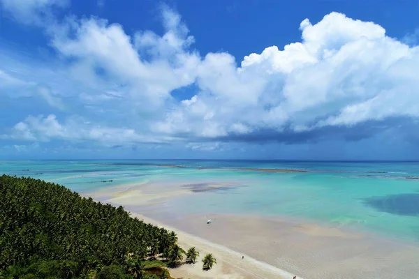 Maragogi Alagoas Brasil Paisagem Fantástica Grande Cenário Praia Praia Paraíso — Fotografia de Stock