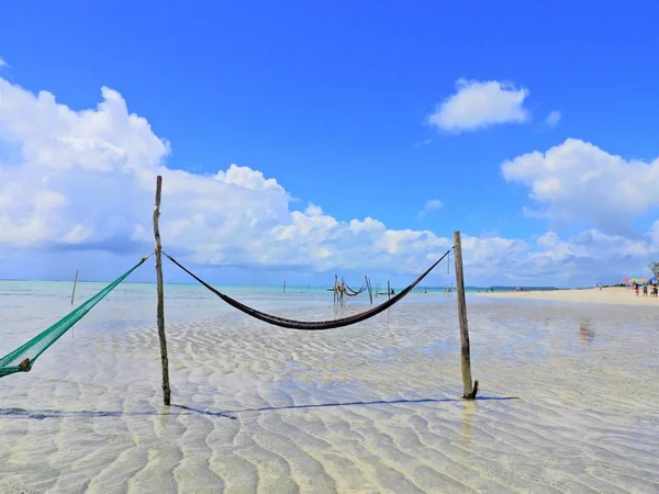 Maragogi, Alagoas, Brazil. Harika manzara. Büyük plaj sahne. Cennet plaj kristal su ile. Rüya, barış, Bakiye, sakin ol, ilham. Güzel manzara. Sahne seyahat. Tatil sahne. Huzur ve dinlence sahneleri.