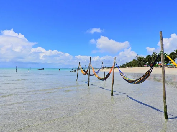 Maragogi, Alagoas, Brazil. Harika manzara. Büyük plaj sahne. Cennet plaj kristal su ile. Rüya, barış, Bakiye, sakin ol, ilham. Güzel manzara. Sahne seyahat. Tatil sahne. Huzur ve dinlence sahneleri.