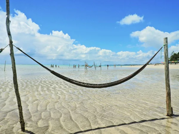 Maragogi, Alagoas, Brazil. Fantastic landscape. Great beach scenery. Paradise beach with crystal water. Dream, peace, balance, relax, inspiration. Beautiful landscape. Travel scenery. Vacation scenery. Tranquility and recreational scenes.