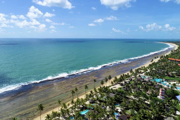 Vista Aérea Las Piscinas Naturales Playa Muro Alto Porto Galinhas — Foto de Stock