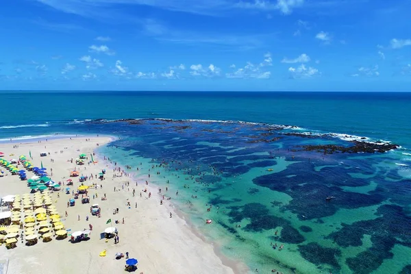 Cupe Beach Porto Galinhas Brazílie Jedinečný Zážitek Koupání Ryb Přírodních — Stock fotografie