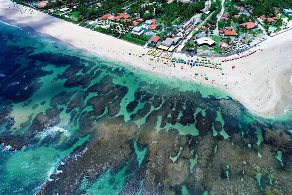 Cupe Beach Porto Galinhas Brésil Expérience Unique Nager Avec Des — Photo