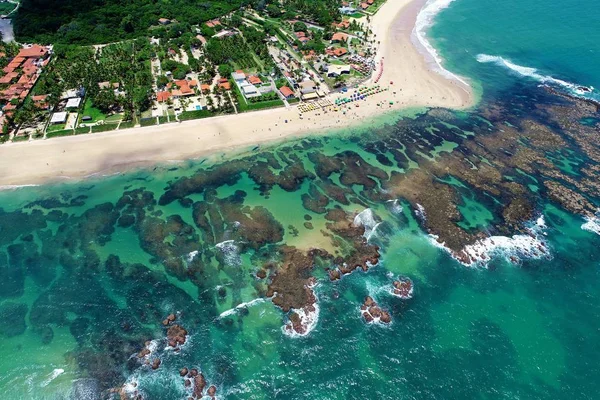 Praia Cupe Porto Galinhas Brasil Experiência Única Nadar Com Peixes — Fotografia de Stock