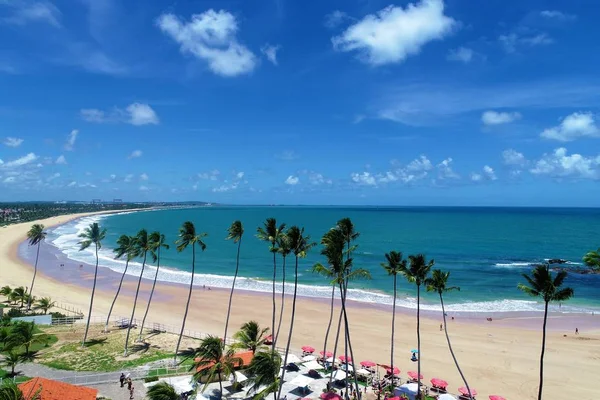 Cupe Beach Porto Galinhas Brazil Unique Experience Swimming Fishs Natural — Stock Photo, Image