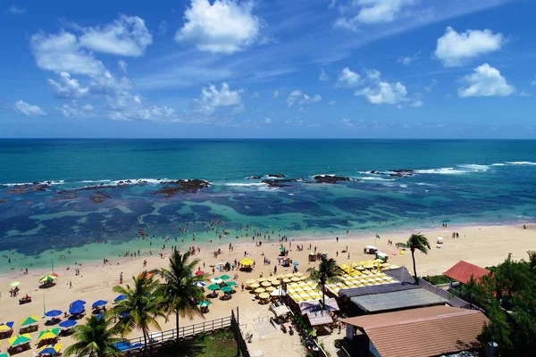 Cupe Beach Porto Galinhas Brazylia Unikalne Doświadczenie Pływania Fishs Naturalnych — Zdjęcie stockowe