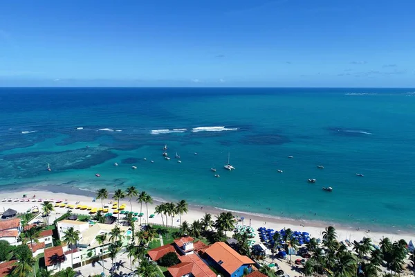 巴西伯南布哥州波尔图 德加里尼亚斯海滩的鸟图 在天然泳池中与鱼一起游泳的体验 度假旅行 热带度假 热带旅行 美丽的海滩风光 美丽的风景 旅游风景 度假风景 — 图库照片
