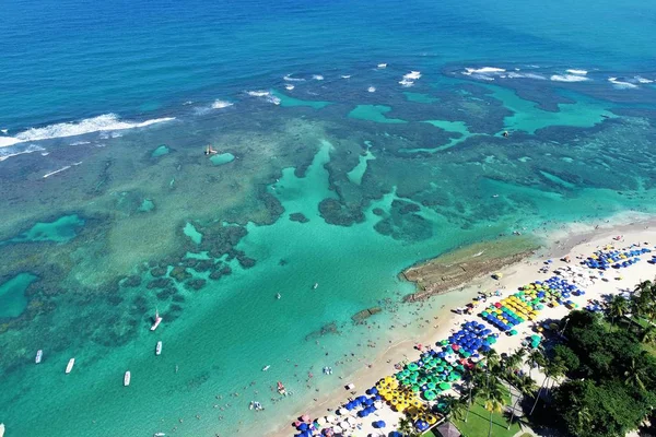 Porto de Galinhas'ın Beach, Pernambuco, Brezilya Hava görünümünü: Yüzme fishs doğal havuzlarda ile deneyim. Tatil seyahat. Tatil tropikal. Tropikal seyahat. Büyük plaj sahne. Güzel manzara. Sahne seyahat. Tatil sahne.