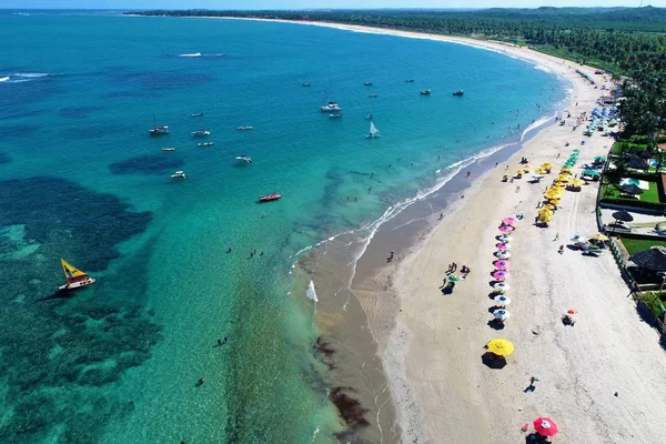 Vista Aérea Playa Porto Galinhas Pernambuco Brasil Experiencia Nadar Con — Foto de Stock