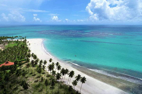 Spiaggia Carneiros Pernambuco Brasile Vacanze Nella Spiaggia Paradisiaca Fantastica Vista — Foto Stock