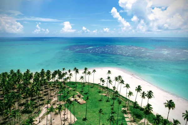 Praia Dos Carneiros Pernambuco Brasil Férias Praia Paradisíaca Fantástica Vista — Fotografia de Stock