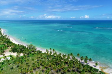 Havadan görünümü Sao Miguel DOS Milagres Beach, Alagoas, Brazil: Yüzme ile fishs doğal havuzlarda benzersiz deneyimi. Harika tatil seyahat. Büyük plaj sahnesi. Güzel manzara. Mumlar, Yelkenliler, sallar, limandaki tekneler! Büyük sahne!