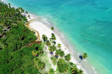 Havadan görünümü Sao Miguel DOS Milagres Beach, Alagoas, Brazil: Yüzme ile fishs doğal havuzlarda benzersiz deneyimi. Harika tatil seyahat. Büyük plaj sahnesi. Güzel manzara. Mumlar, Yelkenliler, sallar, limandaki tekneler! Büyük sahne!