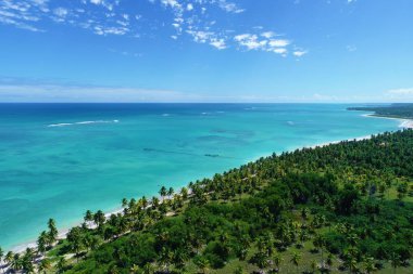 Havadan görünümü Sao Miguel DOS Milagres Beach, Alagoas, Brazil: Yüzme ile fishs doğal havuzlarda benzersiz deneyimi. Harika tatil seyahat. Büyük plaj sahnesi. Güzel manzara. Mumlar, Yelkenliler, sallar, limandaki tekneler! Büyük sahne!