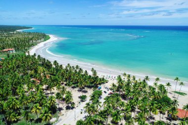 Havadan görünümü Sao Miguel DOS Milagres Beach, Alagoas, Brazil: Yüzme ile fishs doğal havuzlarda benzersiz deneyimi. Harika tatil seyahat. Büyük plaj sahnesi. Güzel manzara. Mumlar, Yelkenliler, sallar, limandaki tekneler! Büyük sahne!