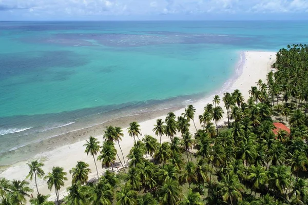 Praia Dos Carneiros Pernambuco Brasil Férias Praia Paradisíaca Fantástica Vista — Fotografia de Stock