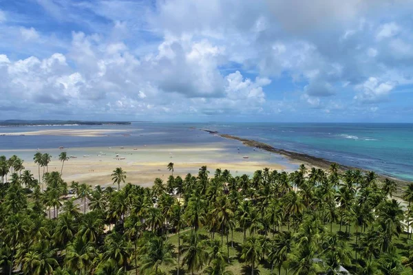 Praia Dos Carneiros Pernambuco Brasil Férias Praia Paradisíaca Fantástica Vista — Fotografia de Stock