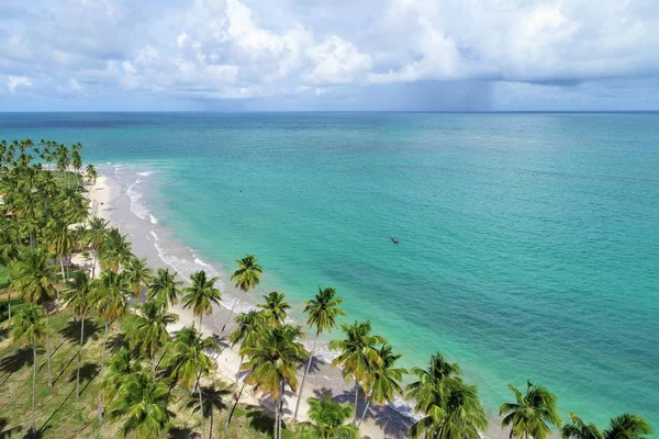 Carneiros Beach Pernambuco Brasil Vacaciones Playa Paradisíaca Fantástica Vista Playa — Foto de Stock