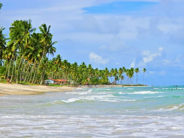 Carneiros Beach Pernambuco Brazílie Dovolená Rajský Beach Pohled Fantastické Pláže — Stock fotografie