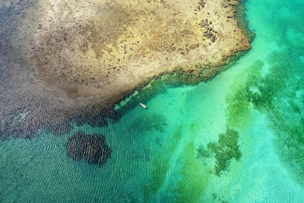 巴西阿拉戈斯的圣米格尔 多斯米拉格雷斯海滩的鸟图 在天然泳池中与鱼一起游泳的独特体验 美妙的度假旅行 伟大的海滩场景 美丽的风景 港口里的船 精彩的场景 — 图库照片