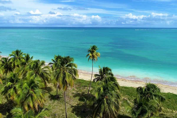 Luchtfoto Van Sao Miguel Dos Milagres Beach Alagoas Brazilië Unieke — Stockfoto