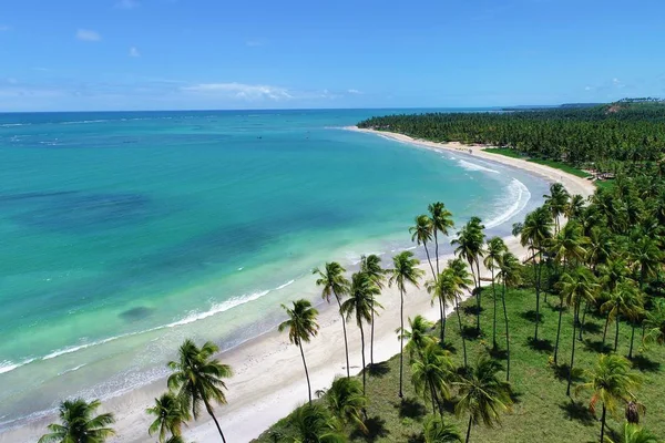 Havadan görünümü Sao Miguel DOS Milagres Beach, Alagoas, Brazil: Yüzme ile fishs doğal havuzlarda benzersiz deneyimi. Harika tatil seyahat. Büyük plaj sahnesi. Güzel manzara. Mumlar, Yelkenliler, sallar, limandaki tekneler! Büyük sahne!