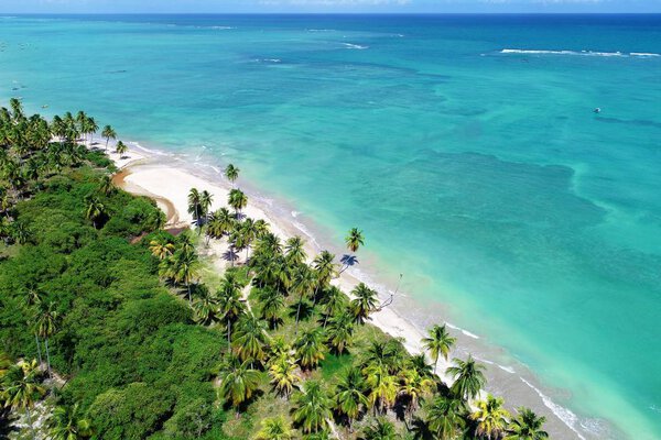 Aerial view of Sao Miguel dos Milagres Beach, Alagoas, Brazil: unique experience of swimming with fishs in natural pools. Fantastic vacation travel. Great beach scene. Beautiful landscape. Candles, sailboats, rafts, boats in the harbor! Great scene!