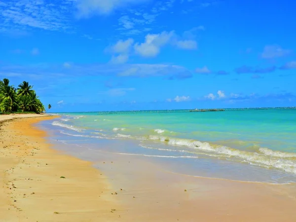 Vacaciones Playa Desierta Brasil Sao Miguel Dos Milagres Alagoas Brasil —  Fotos de Stock