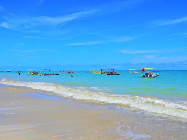 ブラジルの人けのないビーチでの休暇 ミゲル Dos Milagres アラゴアス州 ブラジル 幻想的な風景 素晴らしいビーチのシーン パラダイス ビーチ — ストック写真