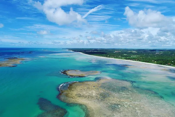 Vue Aérienne Plage Sao Miguel Dos Milagres Alagoas Brésil Expérience — Photo